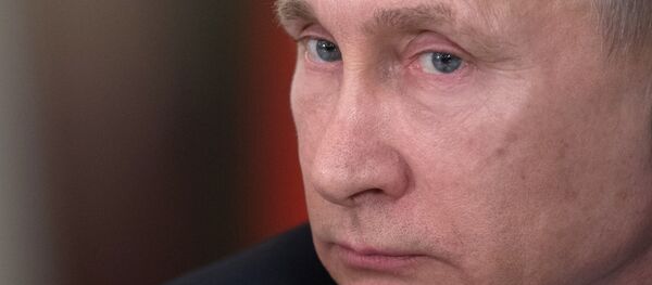 普京 普京 - 俄罗斯卫星通讯社