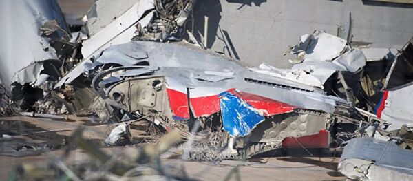 媒体：索契附近坠毁的图-154飞行员将飞机降落到水上 - 俄罗斯卫星通讯社