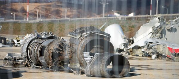 图-154 - 俄罗斯卫星通讯社