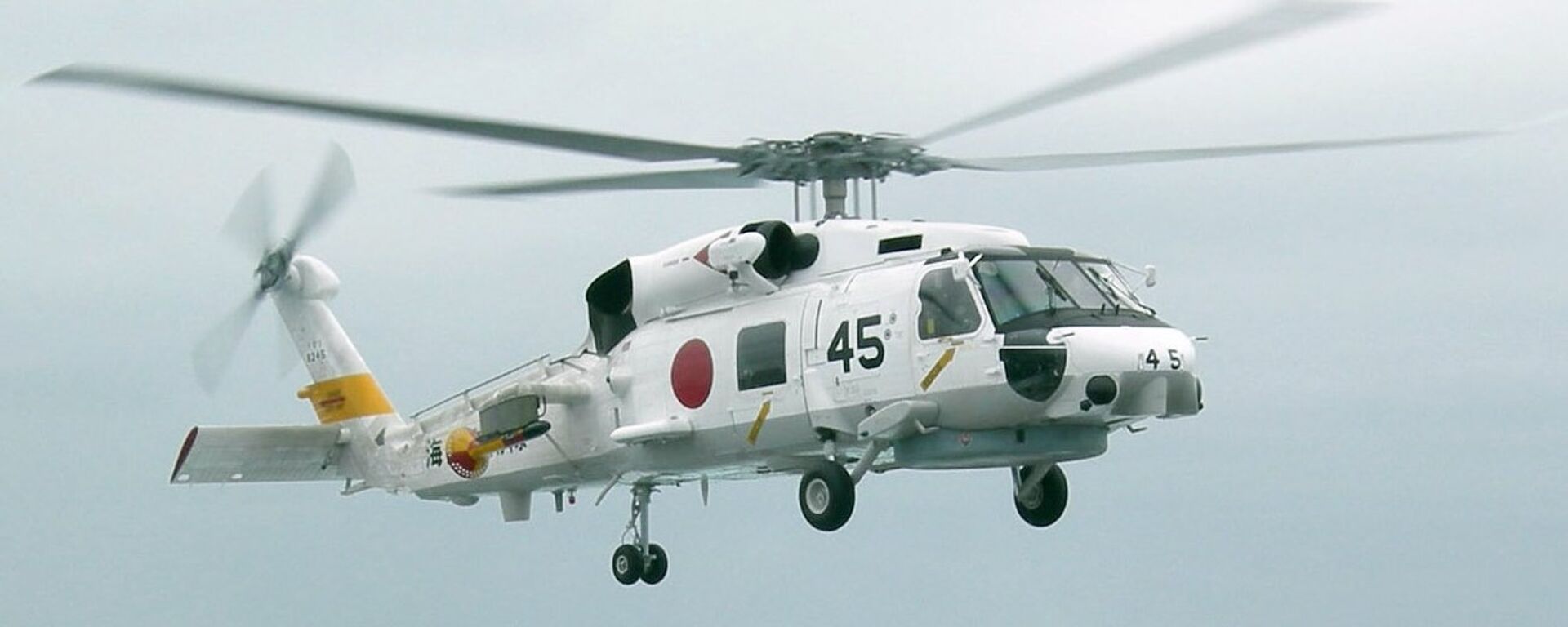 媒體：日本2架巡邏直升機在伊豆群島附近失聯 - 俄羅斯衛星通訊社, 1920, 21.04.2024