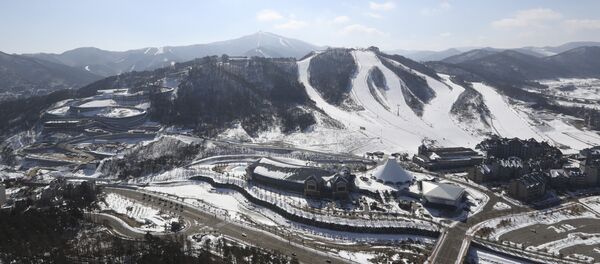 韩国正研究与朝鲜共同举办2018平昌冬奥会问题 - 俄罗斯卫星通讯社