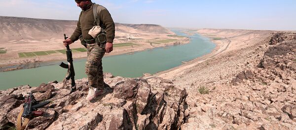 叙利亚 - 俄罗斯卫星通讯社