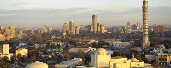 阿盟外长将在开罗举行土耳其在叙行动问题紧急会议 - 俄罗斯卫星通讯社