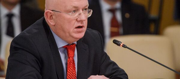 瓦西里∙涅边贾 - 俄罗斯卫星通讯社