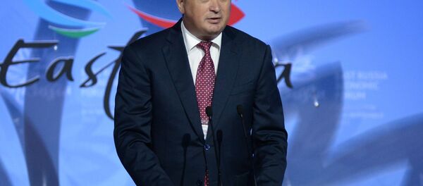 Торжественное открытие Восточного экономического форума - 俄罗斯卫星通讯社