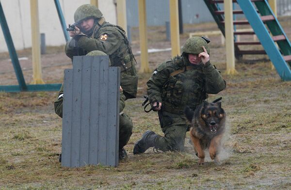 國家近衛軍相關部門進行的犬類培訓 - 俄羅斯衛星通訊社