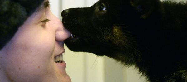 Щенок кинологической службы Росгвардии общается с военнослужащим - 俄羅斯衛星通訊社