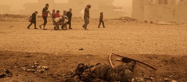 重建萨拉赫丁省被IS摧毁的基础设施需要30亿美元 重建萨拉赫丁省被IS摧毁的基础设施需要30亿美元 - 俄罗斯卫星通讯社