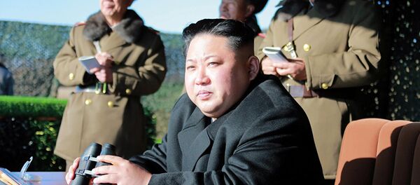 金正恩 - 俄罗斯卫星通讯社