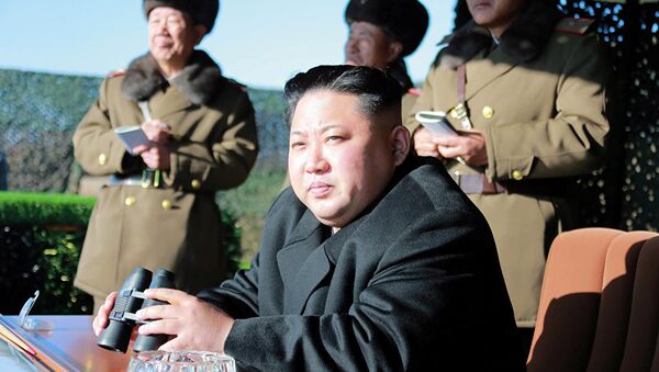 朝鲜要求美国就试图谋杀金正恩一事道歉 - 俄罗斯卫星通讯社