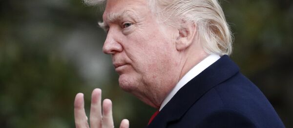 特朗普：不会因边界危机立即宣布紧急状态 - 俄罗斯卫星通讯社