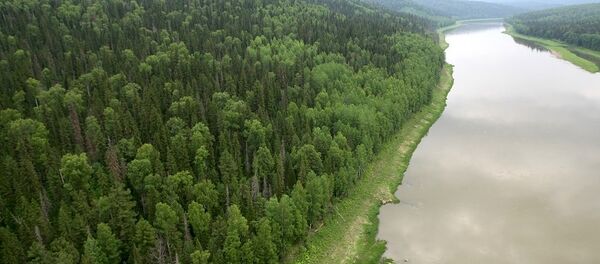 俄远东 - 俄罗斯卫星通讯社