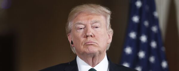 唐纳德·特朗普 - 俄罗斯卫星通讯社