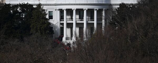 白宫 - 俄罗斯卫星通讯社