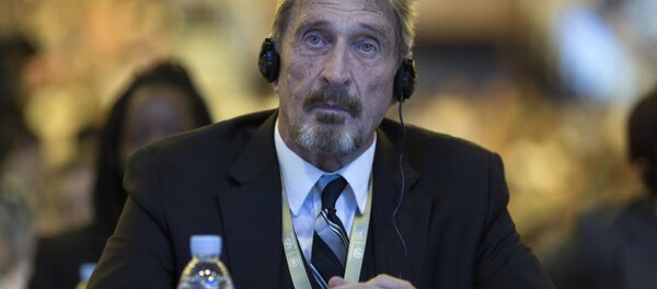 John David McAfee - 俄罗斯卫星通讯社