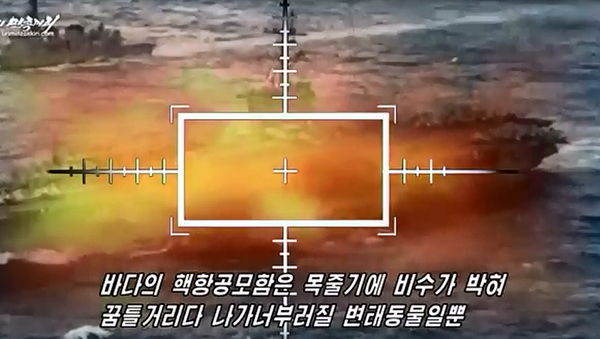 朝鮮拍攝關於消滅美國航空母艦的視頻（視頻） - 俄羅斯衛星通訊社