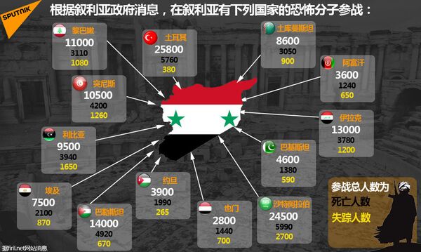 在叙利亚有下列国家的恐怖分子参战 在叙利亚有下列国家的恐怖分子参战 - 俄罗斯卫星通讯社