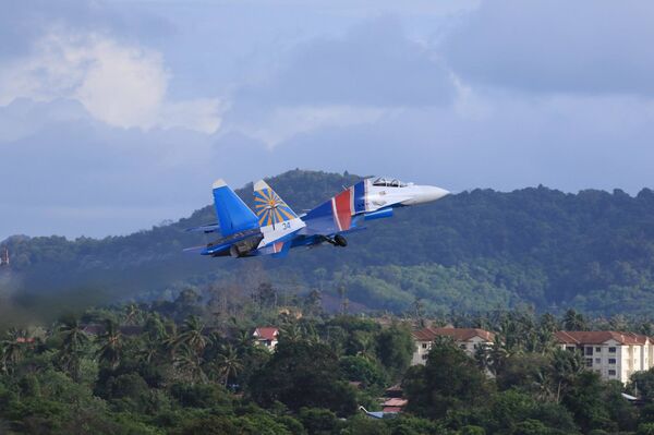 苏-30战斗机 苏-30战斗机 - 俄罗斯卫星通讯社