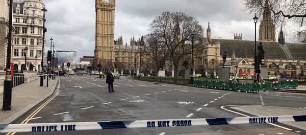 倫敦 倫敦 - 俄羅斯衛星通訊社