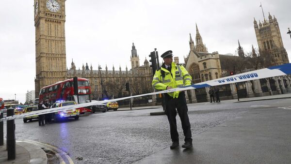 Полицейский у здания парламента в Лондоне, где произошла стрельба - 俄羅斯衛星通訊社