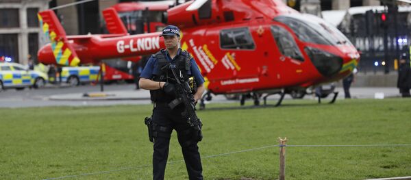 倫敦 - 俄羅斯衛星通訊社