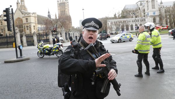 Полицейский у здания парламента в Лондоне, где произошла стрельба - 俄罗斯卫星通讯社