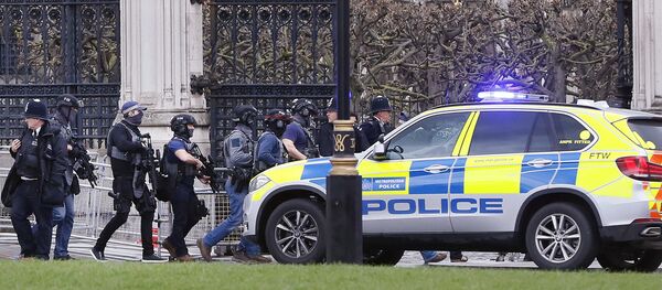 伦敦 伦敦 - 俄罗斯卫星通讯社