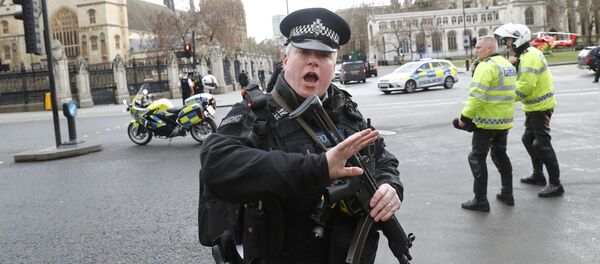 倫敦警方 倫敦警方 - 俄羅斯衛星通訊社
