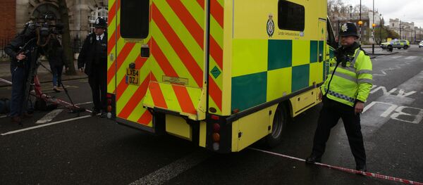 伦敦希思罗机场交通事故造成一人死亡 - 俄罗斯卫星通讯社