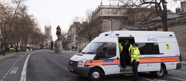 英国驻莫斯科大使馆前献花悼念伦敦恐袭遇难者 - 俄罗斯卫星通讯社