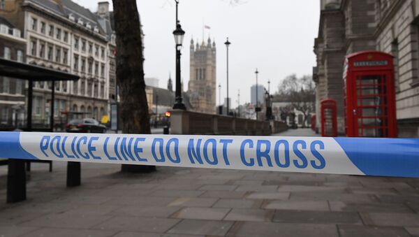 英国警方正在伦敦两个地址搜查 数人被捕 - 俄罗斯卫星通讯社
