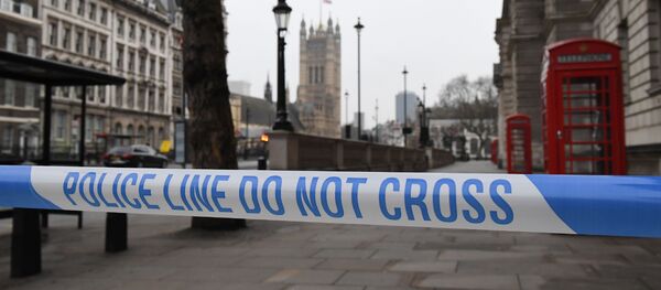 儿时好友称曼彻斯特恐袭实施者是在该市被极端团伙洗脑的 - 俄罗斯卫星通讯社