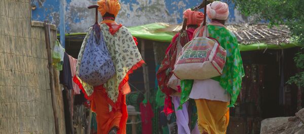 印度因豬流感導致316人死亡 - 俄羅斯衛星通訊社