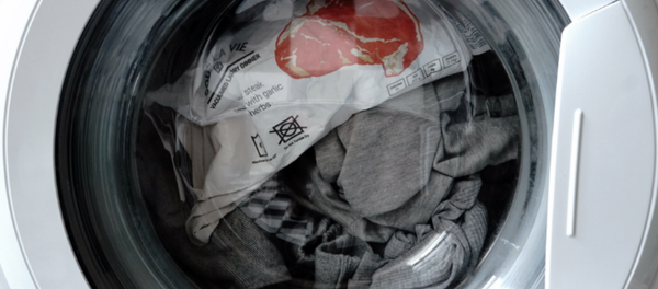 澳大利亚一只小猫在洗衣机里“被洗”半小时后幸存 - 俄罗斯卫星通讯社