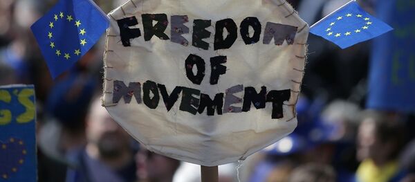 英国政治危机或引发二次脱欧公投 - 俄罗斯卫星通讯社