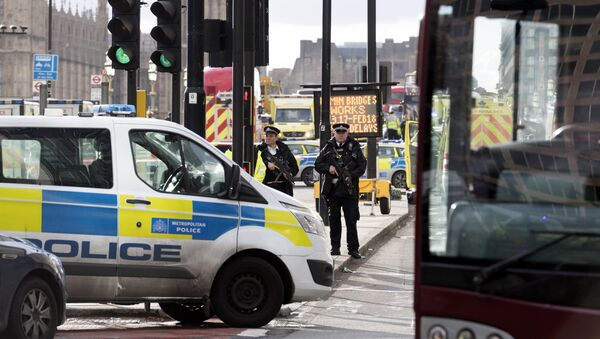 伦敦警方：火车站自称携带炸弹的男子已被扣留 - 俄罗斯卫星通讯社