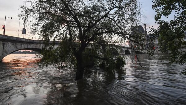 The flooded Seine embankment near the Pont Royal in Paris - 俄羅斯衛星通訊社