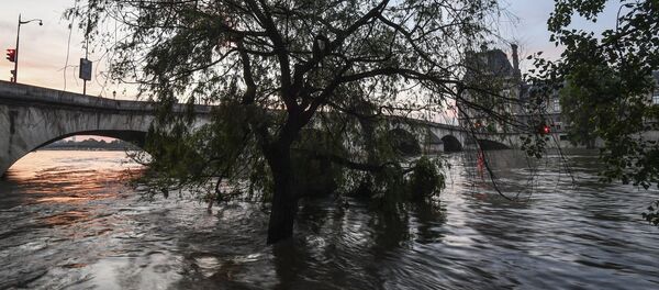 The flooded Seine embankment near the Pont Royal in Paris - 俄罗斯卫星通讯社