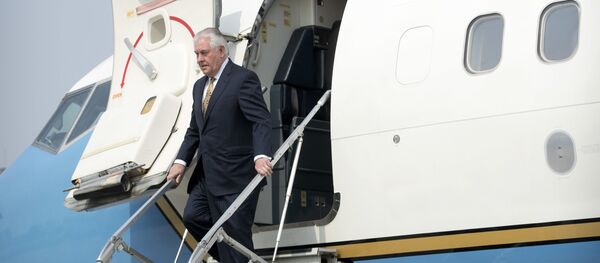 美国国务卿蒂勒森 - 俄罗斯卫星通讯社