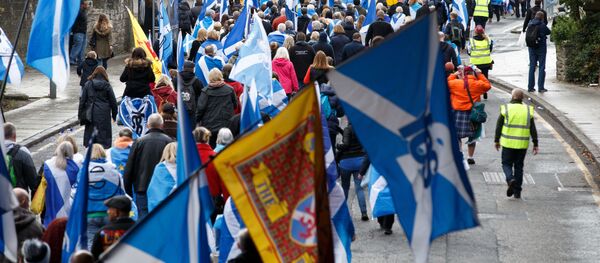 民调：多数苏格兰人在无协议脱欧的情况下支持独立 - 俄罗斯卫星通讯社