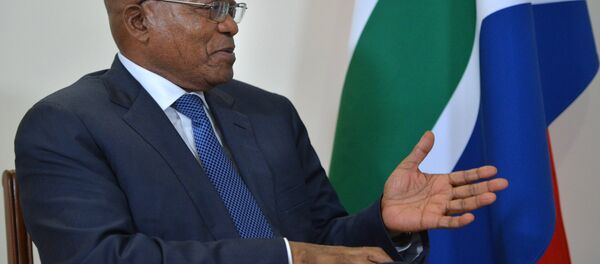 祖马 - 俄罗斯卫星通讯社