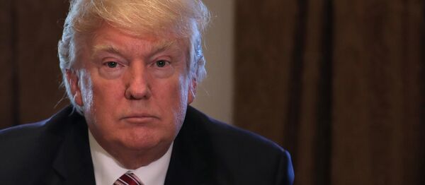 U.S. President Donald Trump U.S. President Donald Trump - 俄罗斯卫星通讯社