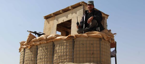 Афганский полицейский на кпп в провинции Гильменд, Афганистан - 俄羅斯衛星通訊社