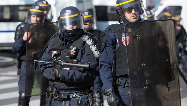 法国警察 - 俄罗斯卫星通讯社