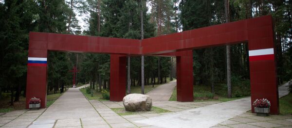 波兰防长坚称卡钦斯基总统所乘图-154飞机曾发生爆炸 - 俄罗斯卫星通讯社