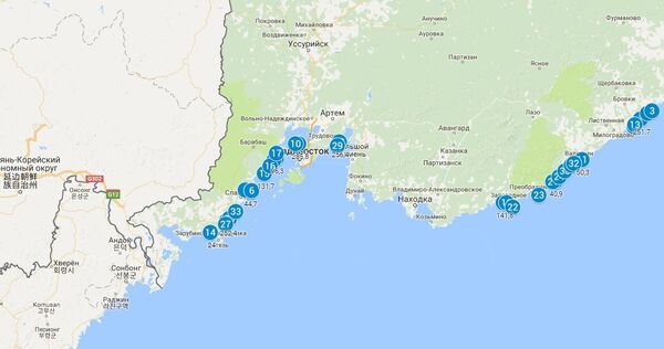 当前进行的远东水产养殖区块使用权拍卖 - 俄罗斯卫星通讯社