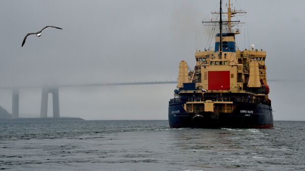 The icebreaker Admiral Makarov in the Eastern Bosphorus strait departing for the summer shipping season on the Northern Sea Route - 俄罗斯卫星通讯社