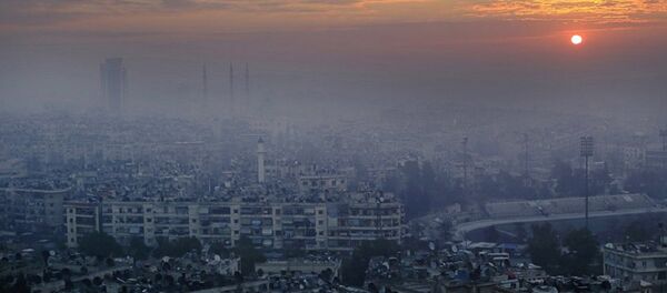 俄议员：西方反恐联盟应该加入俄罗斯在叙利亚的反恐斗争 - 俄罗斯卫星通讯社