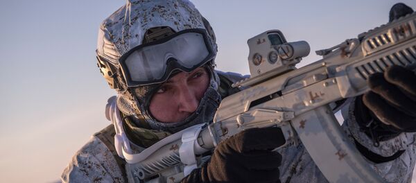 美国媒体谈及俄罗斯在北极部署的“古董级”防御系统 - 俄罗斯卫星通讯社