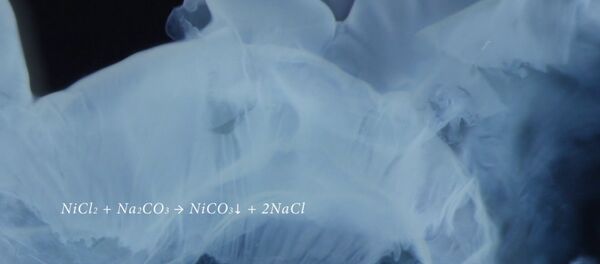 在显微镜下的8个化学反应 - 俄罗斯卫星通讯社